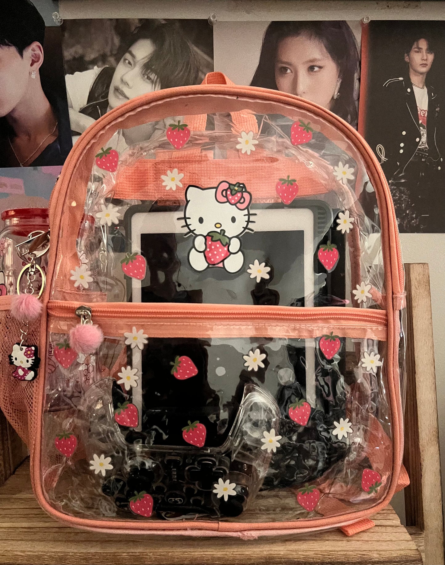 Kitty Themed Transparent Bag